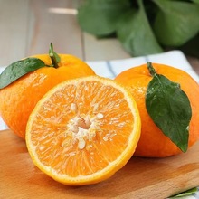 ��ϸ�ɽ�ָ����r�r��ˮ������ɳ������۸̽��ӳ�3��5����]