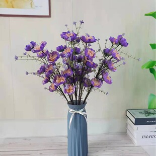 �۵����ʵ��������҃ȼҾӶ��N�����͏d�b��������l�[�O����