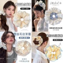 �n���͹��黨�h�����c�lȦŮ2025�¿����Rβ�����^��̖Ƥ��l�