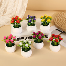 �羳6��С�ɻ��Gֲ���ԼҾӷ��滨�b[��������������ٻ�����