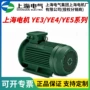 三相能效异步ye5-355l2-2电机