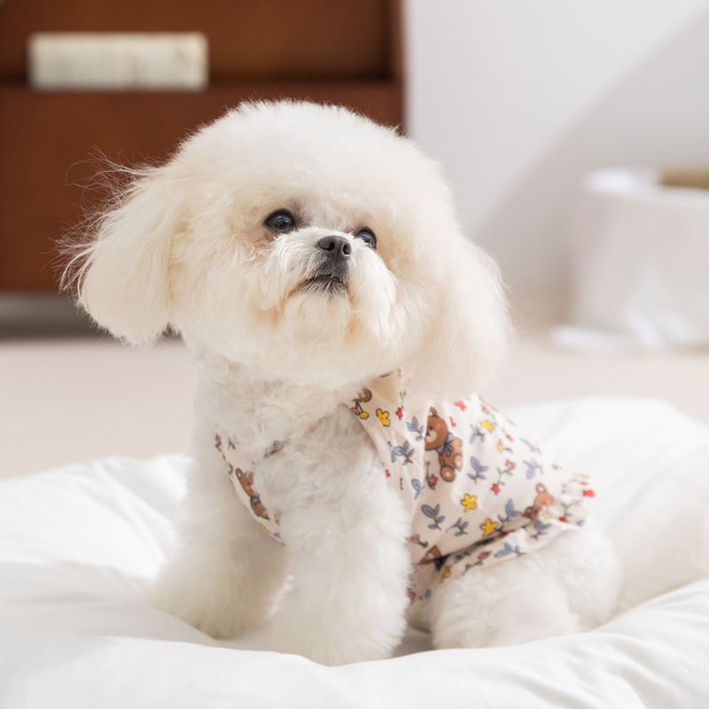 Perro de primavera y verano lindo oso estampado completo falda de calabaza colgante floral vestido de gato ropa de perro de peluche