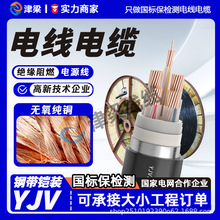 源头工厂铠装YJV电缆3芯10平方电线国标铜芯户外开关发电机电缆线