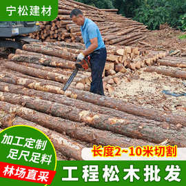 林场直发原木桩 防汛河道打桩木 建筑地基护坡工程木材家具松木桩