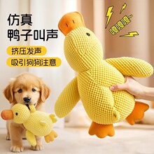 ���������˯ë�q������ҧĥ�����������Ȯ����l���˽␞�þ�