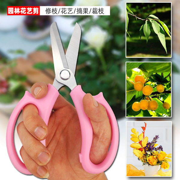 Scissors stainless steel