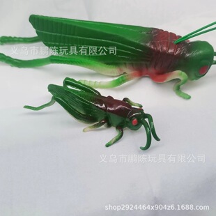 ܛ�z����TPR4.5CM���x�X�X���x���ģ�͐�����������߿羳��Ʒ