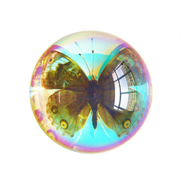 6.4cm Semi-circular Colorful Emerald Blue Eyed Butterfly