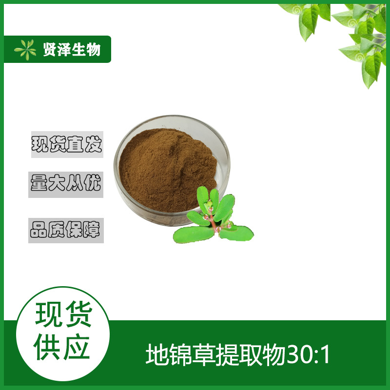 地锦草提取物30:1   地锦草萃取粉  地锦草粉 贤泽生物 现货供应