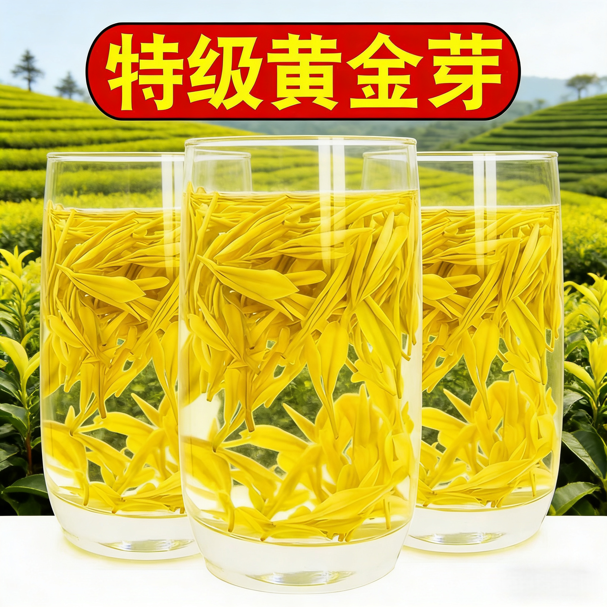 正宗绿茶黄金芽茶叶明前新茶珍稀黄金叶豆香型浓香耐泡自己喝茶叶