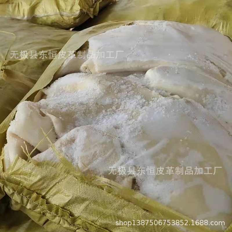 牛皮副产品 鲜牛皮 生牛皮  牛头皮  白色 牛头皮 去油 饲料正反