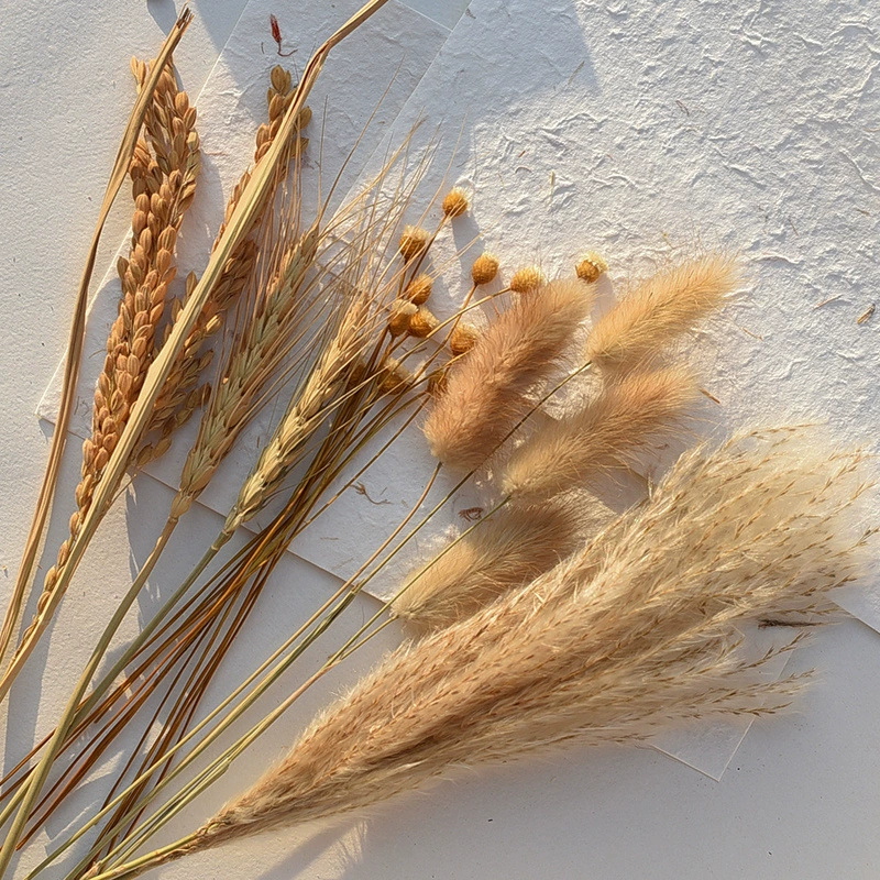 Счастливый цветок, колоски пшеницы, кроличий хвост, трава, букет из сухих цветов, фотография, позирование, съемка, реквизит для фотосессии, украшения для фона