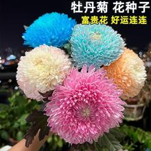 lĵշNӽĵļ_gF໨ɾջN̨