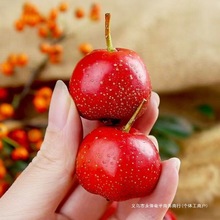 ɽ����r����������ɽ��tˮ�������Ǻ��J�Fժ�r���ݾ�ˮ�����]