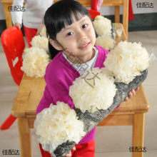 �NĢ����ƽ����Ģ���������������ʳ�þ���ͥĢ���Nֲ�������̨