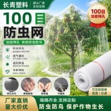 现货批发农用蔬菜大棚专用加密防护果树园艺防鸟网罩高密度防虫网