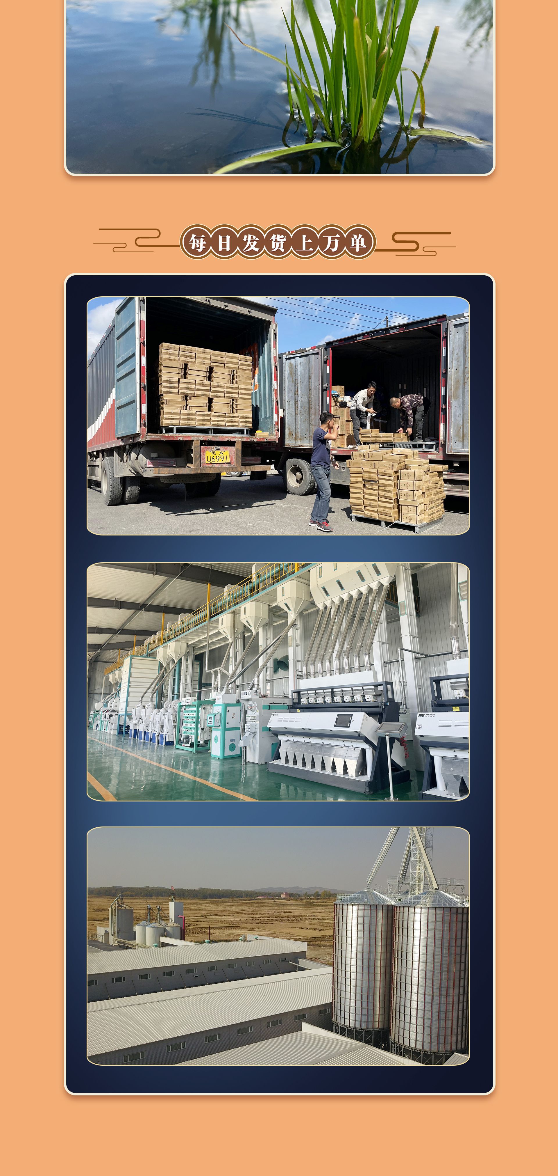 团圆粮详情页_06