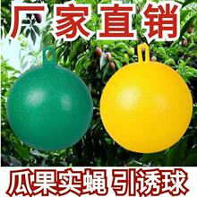 ���ļ�������ٌ�ω��ω�T����ᘷ��Tճ��ճ�x����ω���Tωͨ��