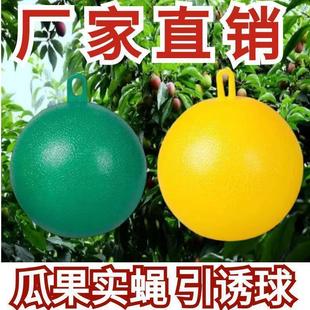 【Summer Hot Item】Citrus Fruit Fly Trap Sticky Trap for Fruit Flies and Wasps Universal Fly Trap