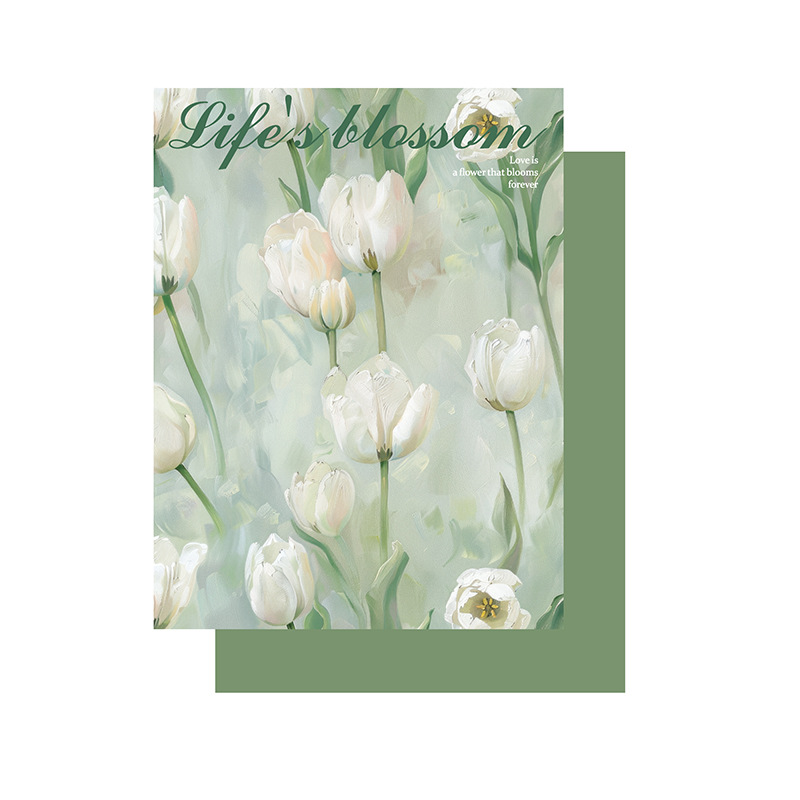 [유형 C] 34*50CM; 10장/팩