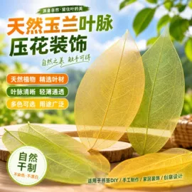 工艺原料;植物工艺品;书签