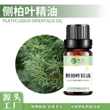 侧柏叶油侧柏油扁柏油单方油报送码化妆品原料厂家直供侧柏叶精油