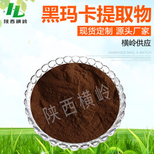 黑玛卡提取物 100:1规格 秘鲁黑玛卡粉 厂家供应 黑玛卡酰胺 包邮