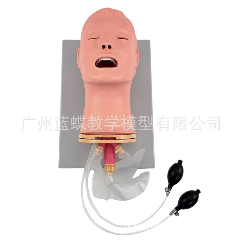 �߼��๦�����ܲ��ѵ��ģ���������Ź�����̵��ϰѵ����ѧģ��