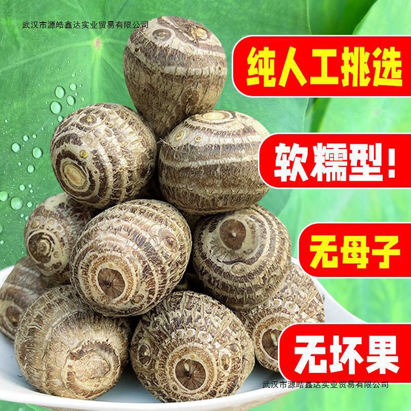 山东农家毛芋头芋艿新鲜小芋头牛奶竽头香芋奶油芋儿软糯芋头仔