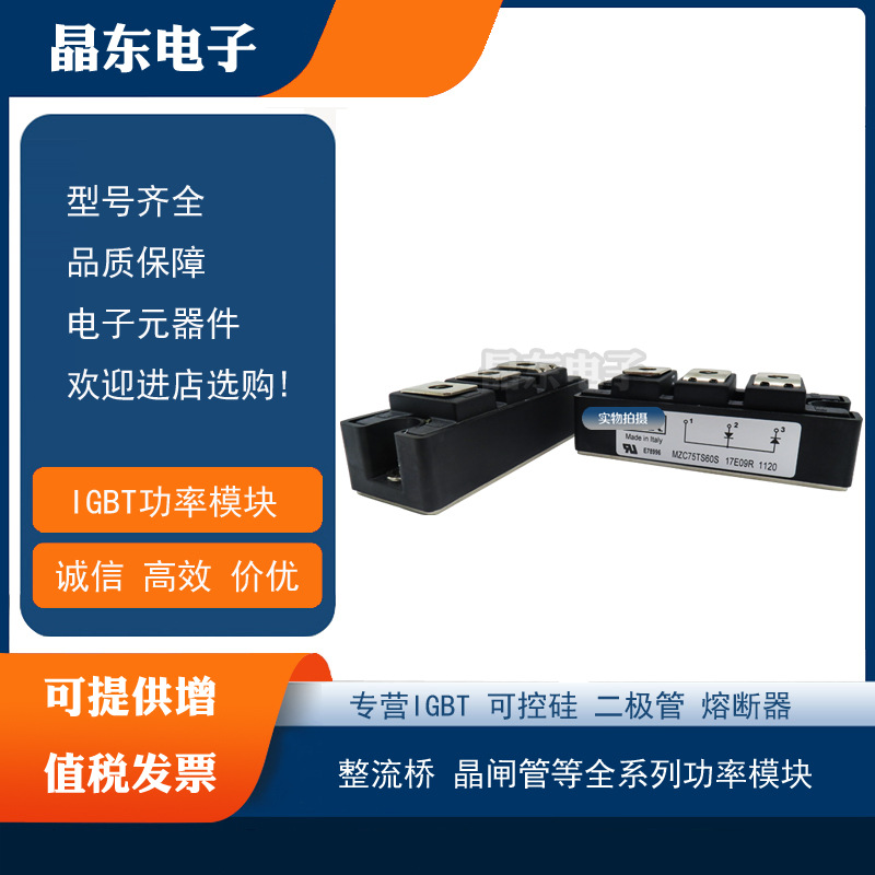 MZC75TS60S MZC100TS60S MZC150TS60S  MZC200TS60S 原装IR二极管