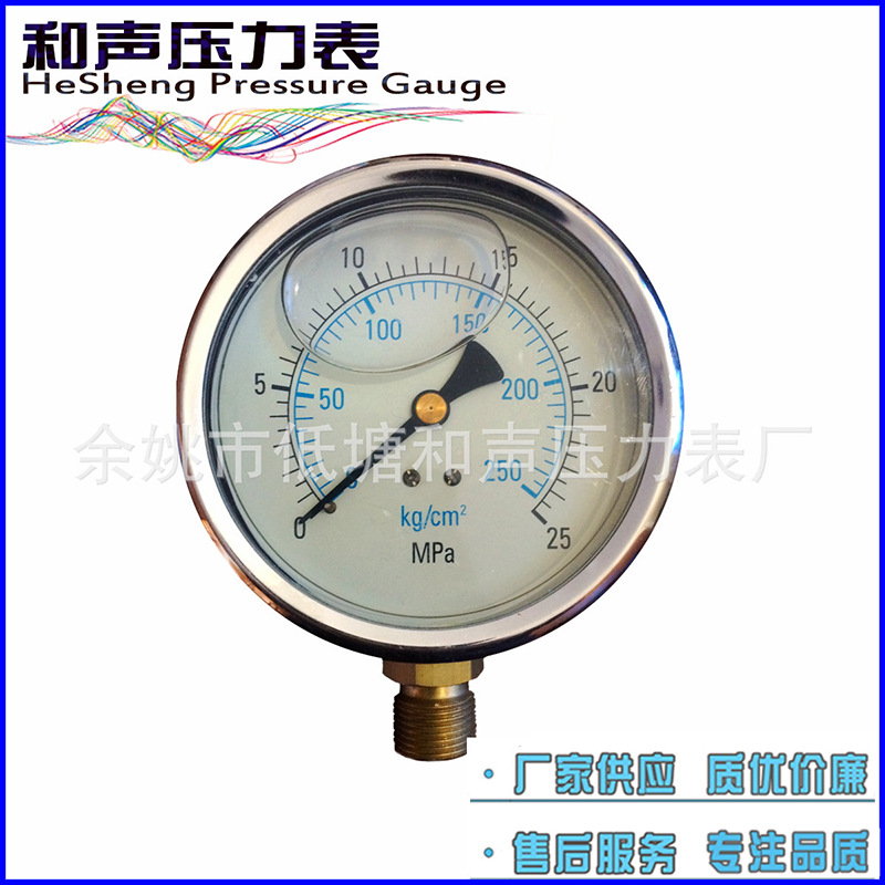 ��Ӧ����ѹ������������������ѹ����YN100����25MPA�����