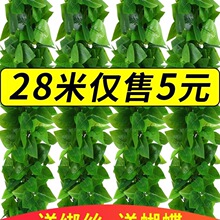 �ٗl����ֲ��Gɫ���~��ˮ�ܵ�����b��ټٻ����ϾG�~�ړ�