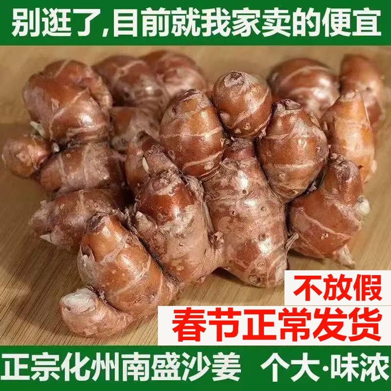 Authentic Maoming Gaozhou specialty fresh sand ginger/sanai, used in white chicken and coconut chicken, Hainan red-skinned sand ginger, old ginger Authentic Maoming Gaozhou specialty fresh sand ginger/sanai, used in white chicken and coconut chicken, Hainan red-skinned sand ginger, old ginger