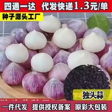 ���^��N����Ƥ����r�Ҽt������N���ݴ����ļ��Nֲ��̦�����߲�