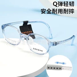 框架眼镜;眼镜片;太阳镜