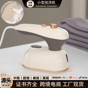 Hand-held Hanging Ironing Machine Wet and Dry Small Spray Steam Iron Portable Household Mini Portable Hanging Ironing