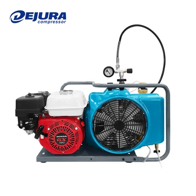 Hava kompressorları Fire Diving Air Pump - djw-100-gasoline-model-deposit