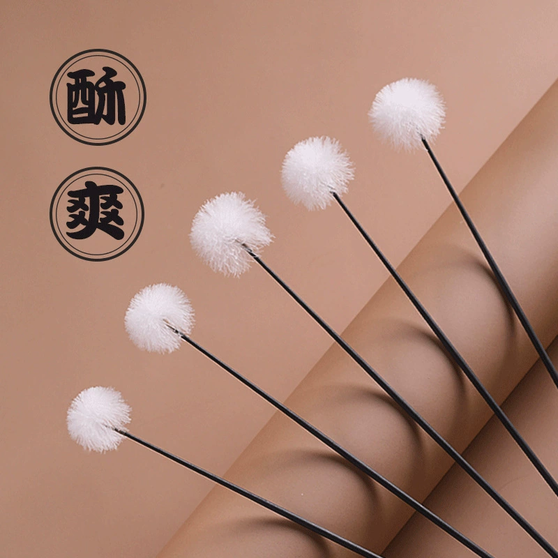 Палочка для чистки ушей из гусиного пера, зашифрованный набор инструментов для чистки ушей, ложка для чистки ушей, профессиональная чистка