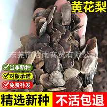 当年新采黄花梨种子正宗海南黄花梨降香黄檀多年生乔木珍稀树种子
