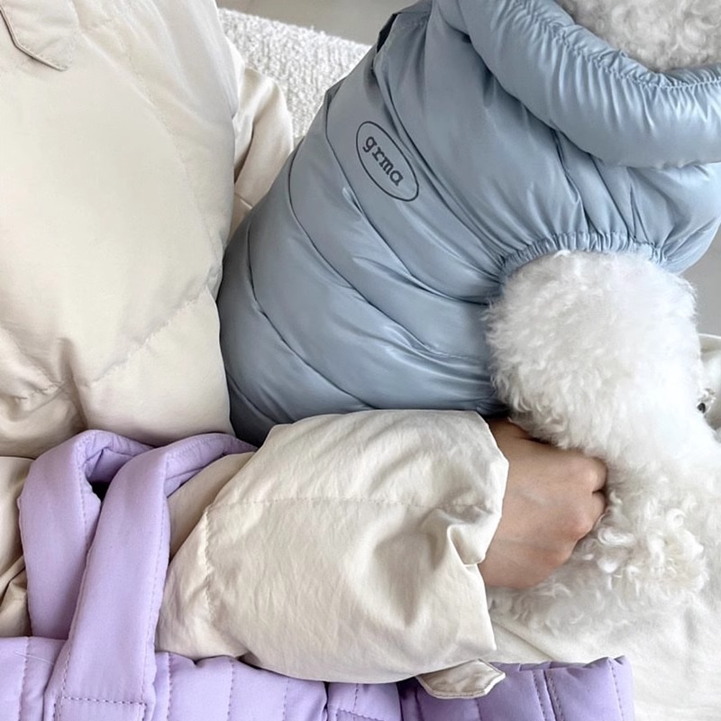 Otoño y invierno para perros coreanos Morandi simple chaleco de algodón caliente gato de dos patas peluche ropa de perro mascota