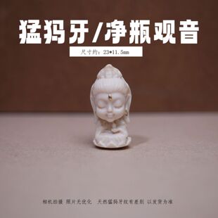 ��Ȼ�ͪw���� �^�����_ ��ƿ��̼� DIY���������ɢ��q�挚��