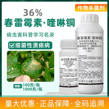 36%�������ͪ����������̿�Ҳ������������Խǰ߲��rș������