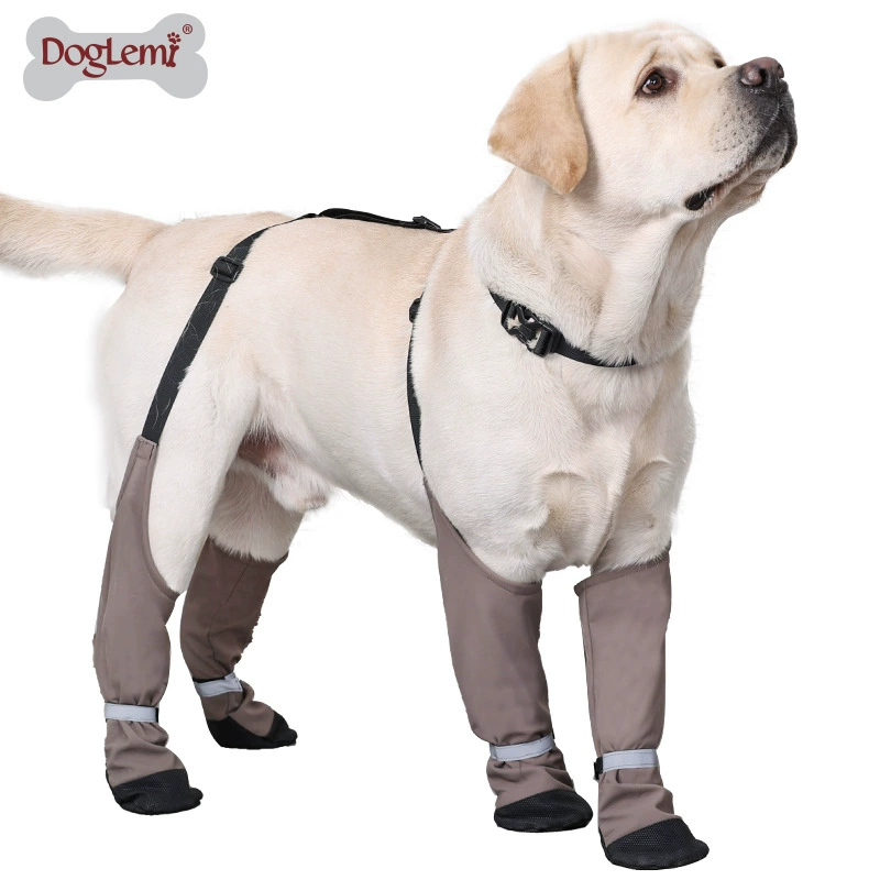 Уличная обувь и ботинки для собак, защита от грязи, нескользящие, универсальные для всех сезонов, необходимые для прогулок с собакой.