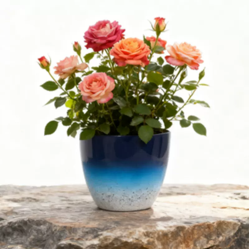 外贸专供工厂直销新款塑料花盆仿陶瓷简易树脂花盆绿植专用花盆红