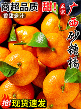 �V��ɰ�������rˮ�������Fժ�۽۽���ɳ�ǽ�����ؕ��������]