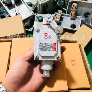 Explosion-Proof Travel Switch Blx5 Limit Switch Rocker Plunger Type Adjustable Roller Switch