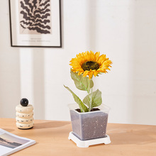 ͸���Nֲ�^��Ѓ�ͯ�������������տ�������Ȼ��ϵ�^����⻨�躆