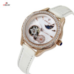 BELBI标比品牌小众高端陀飞轮女士机械手表防水皮带带厂家批发