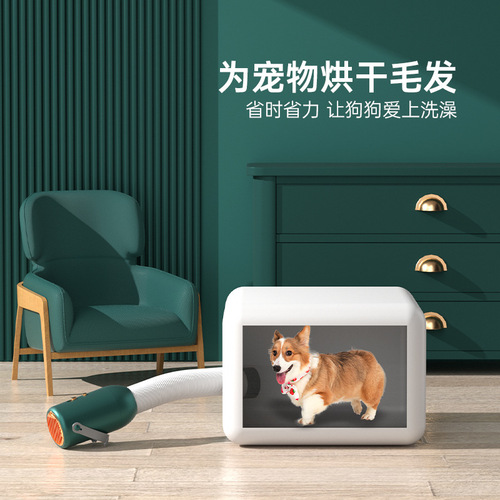 Cross-border multi-functional small drying machine for home dormitory European and American standards shoe dryer portable mini pet dryer