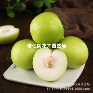 ̨��ţ���ش������޽ӗ������F���ۗ�����ˮ�ֶ�ȫ���Nֲ����Y��